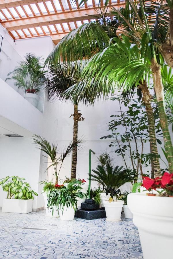 Apartamento Coccoloba Corralejo